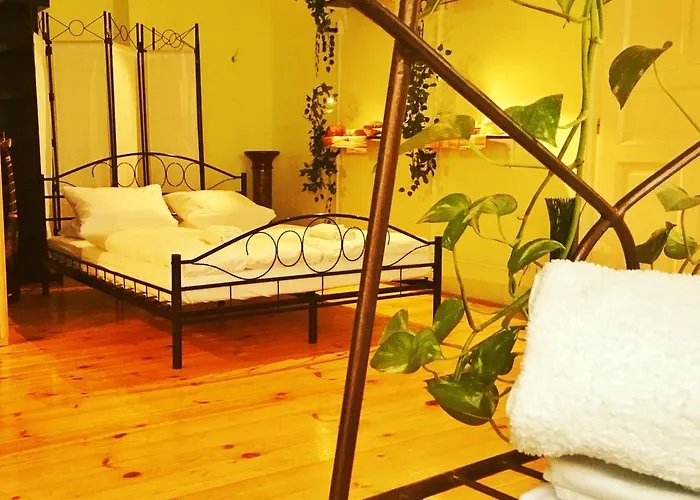 Homer - Old Town Square Hostel